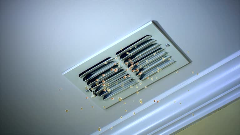 Best Home Air Vent Cleaning  in Hereford, TX