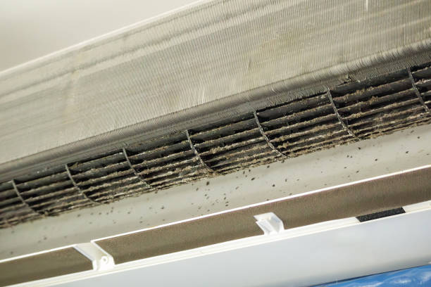 Best Affordable HVAC Duct Cleaning  in Hereford, TX